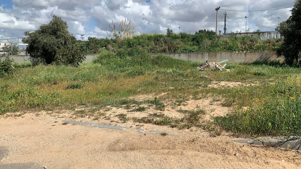 photo1678276195 (24).jpeg